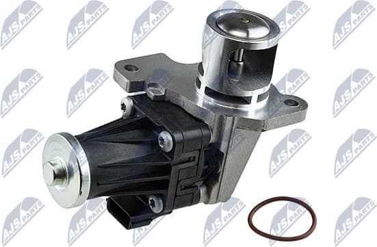 EGR Valve EGR-RE-007