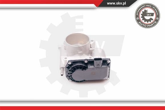 Throttle Body 12SKV070