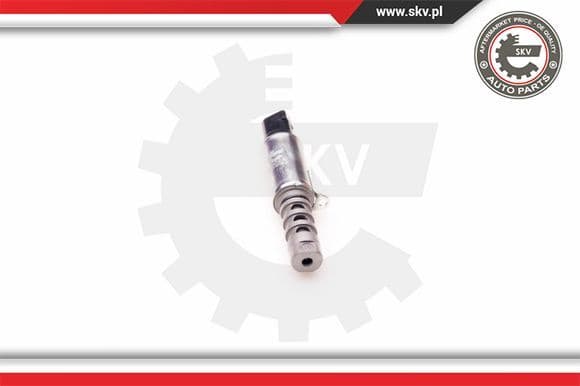 Control Valve, camshaft adjustment 39SKV010