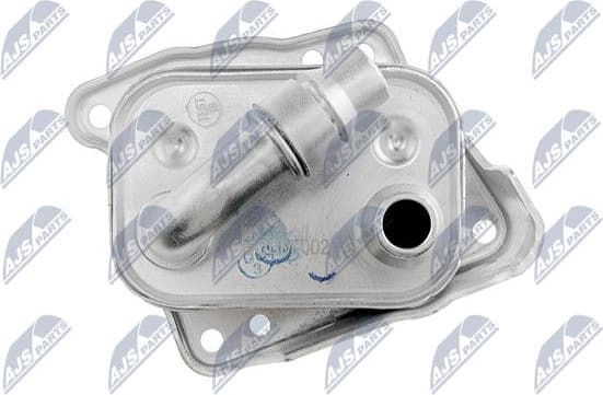 CCL-BM-002 - image 4