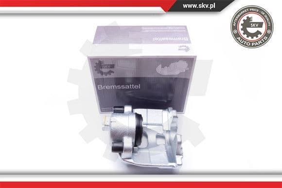 Brake Caliper 42SKV052