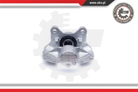 Brake Caliper 42SKV014