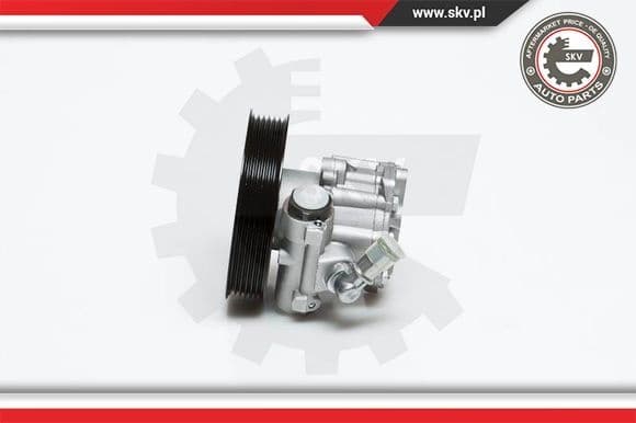 Hydraulic Pump, steering 10SKV022