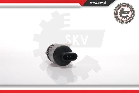 15SKV011