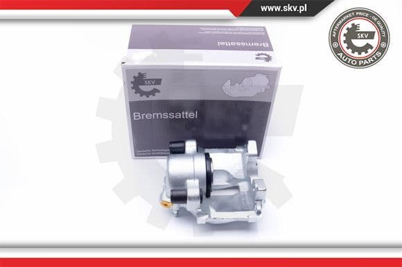 Brake Caliper 42SKV163