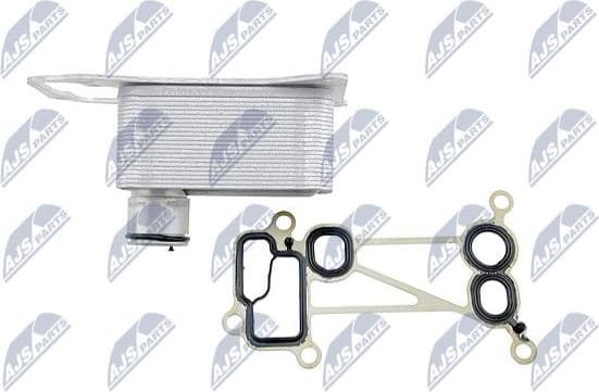 CCL-BM-010 - image 3