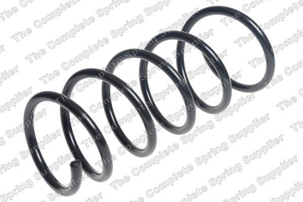 Suspension Spring 4217004