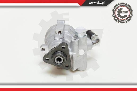 Hydraulic Pump, steering 10SKV061