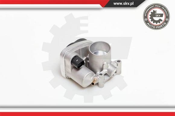 Throttle Body 12SKV029