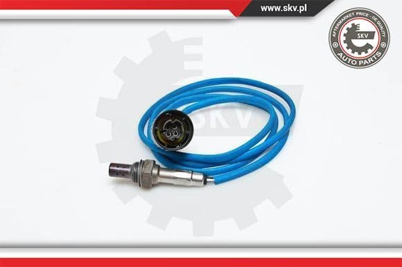 Oxygen Sensor 09SKV049