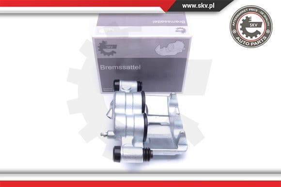 Brake Caliper 42SKV871