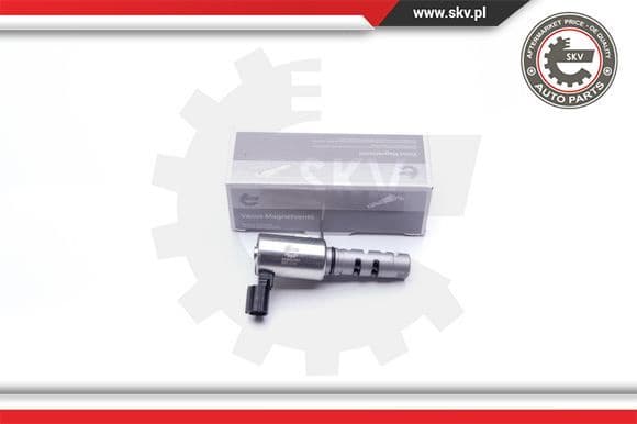 Control Valve, camshaft adjustment 39SKV030