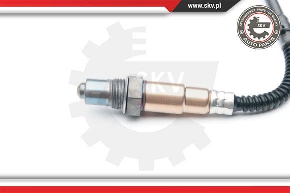 Oxygen Sensor 09SKV869