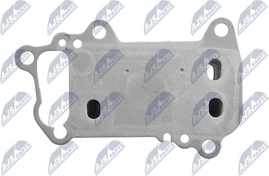 CCL-BM-005 - image 2