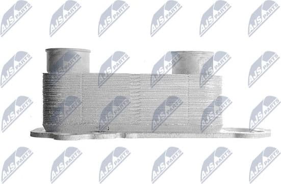 CCL-BM-005 - image 3