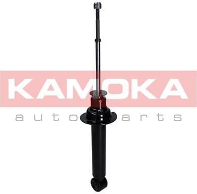 Shock Absorber 2000636