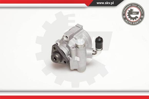 Hydraulic Pump, steering 10SKV003