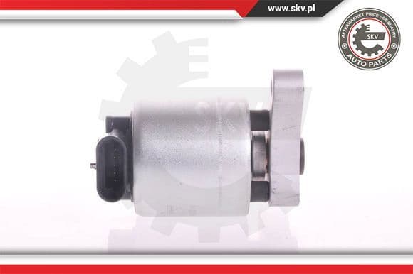 EGR Valve 14SKV004