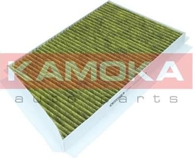 Filter, cabin air 6080065