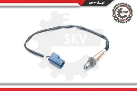 Oxygen Sensor 09SKV693