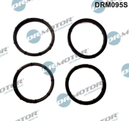 Gasket Set, intake manifold DRM095S