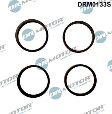Gasket Set, intake manifold DRM0133S
