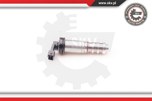Control Valve, camshaft adjustment 39SKV014