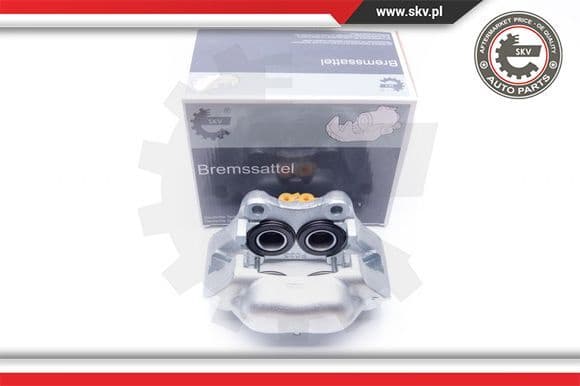 Brake Caliper 42SKV001