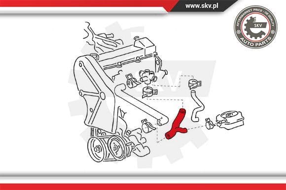 Radiator Hose 24SKV326