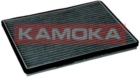 Filter, cabin air F519901 - image 2