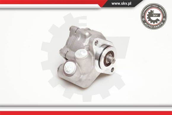 Hydraulic Pump, steering 10SKV051