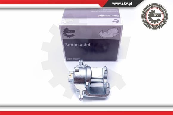 Brake Caliper 42SKV182