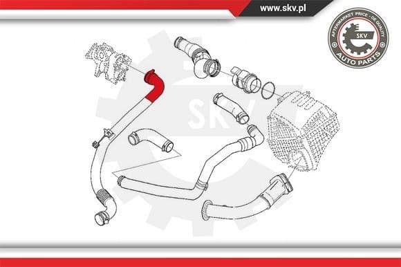 Charge Air Hose 24SKV828 - image 4