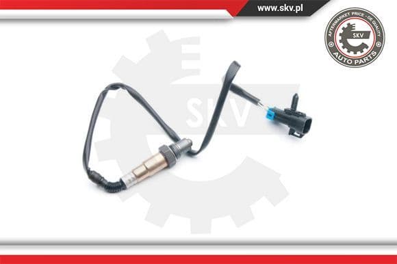 Oxygen Sensor 09SKV713