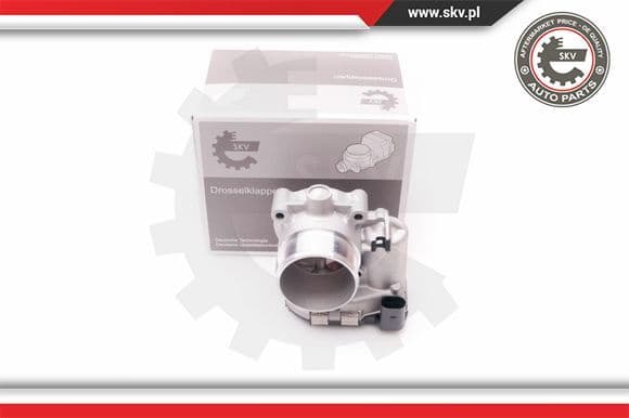 Throttle Body 12SKV068