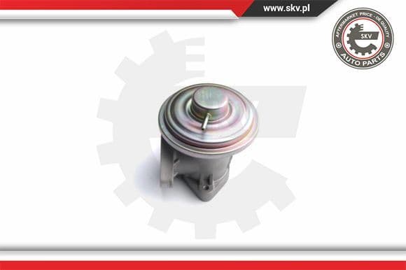 EGR Valve 14SKV098