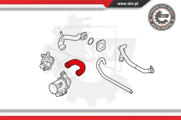 Radiator Hose 43SKV745 - image 4