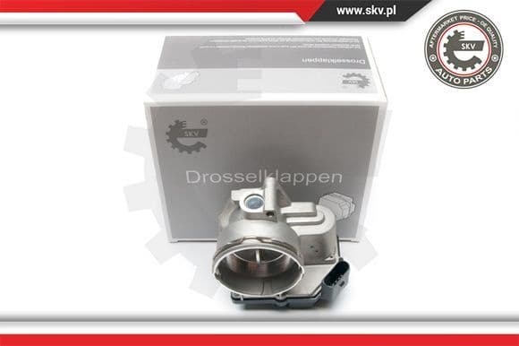Throttle Body 12SKV044