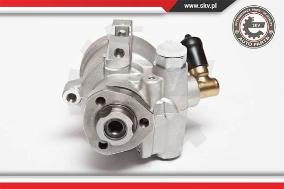 Hydraulic Pump, steering 10SKV047