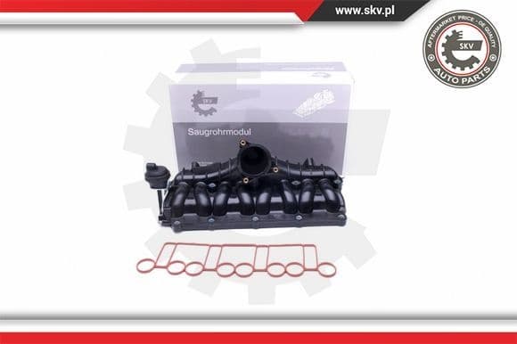Intake Manifold Module 49SKV036
