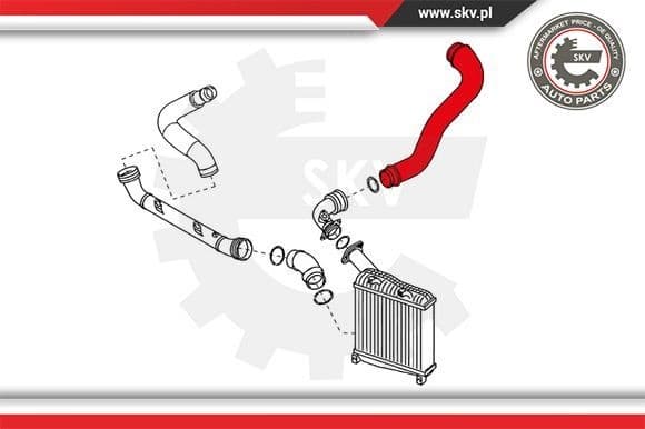 Charge Air Hose 24SKV196 - image 3