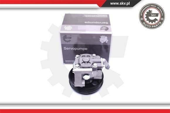 Hydraulic Pump, steering 10SKV038