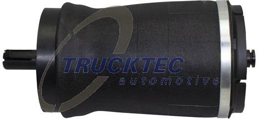 Air Spring, suspension 22.30.003