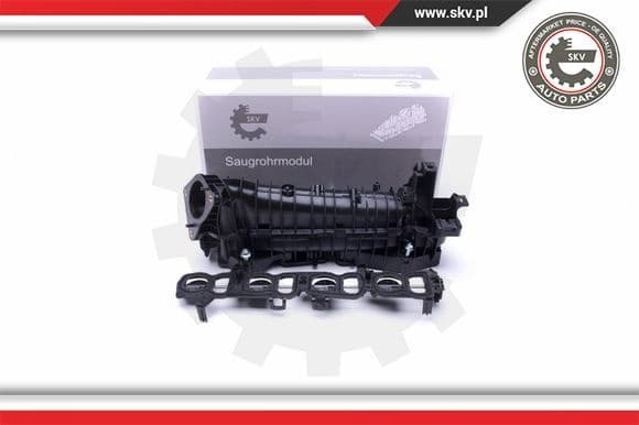 Intake Manifold Module 49SKV037