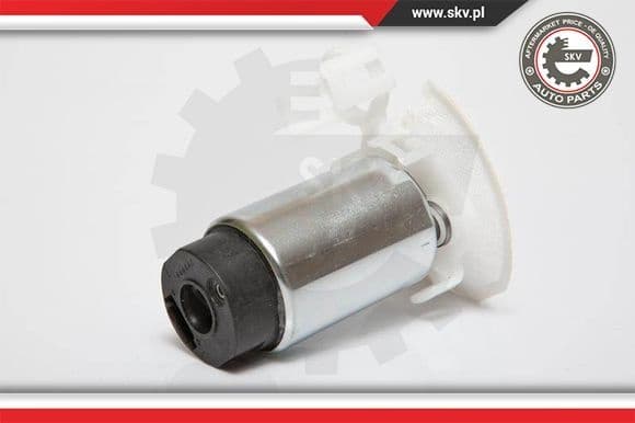 Fuel Pump 02SKV287