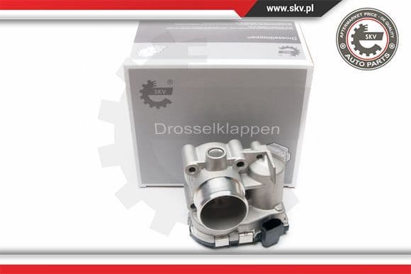 Throttle Body 12SKV043