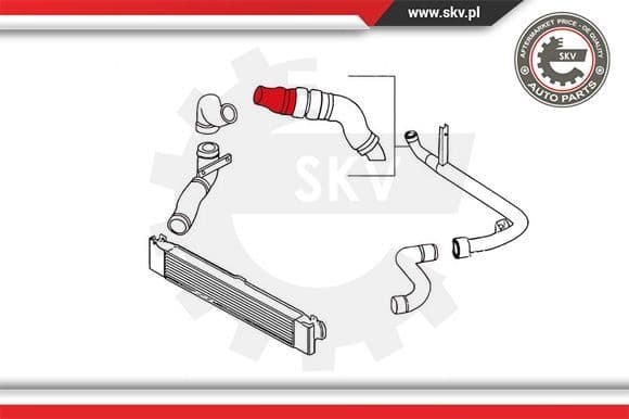 Charge Air Hose 24SKV820 - image 3
