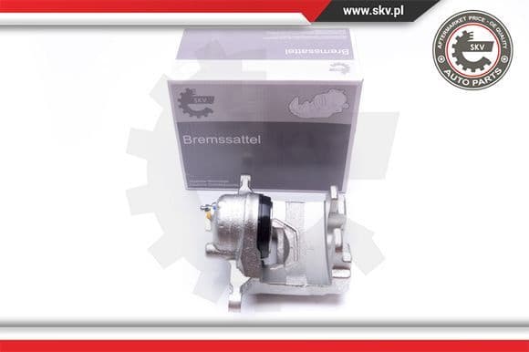 Brake Caliper 42SKV502