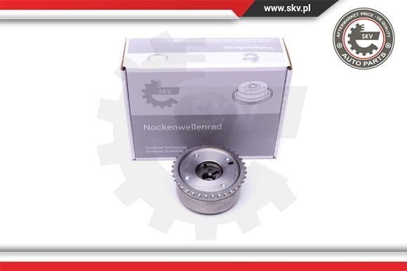 Camshaft Adjuster 39SKV504
