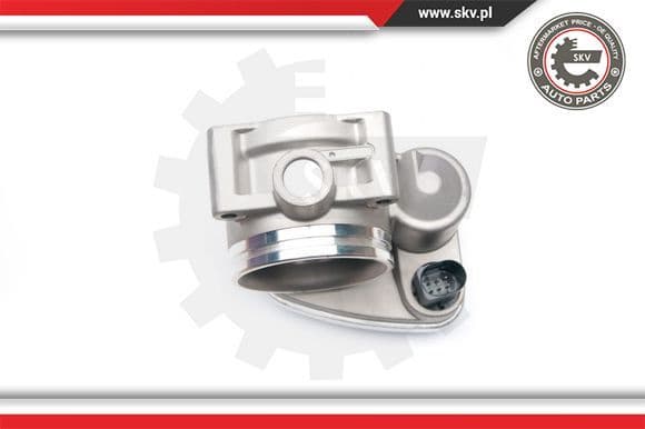 Throttle Body 12SKV050